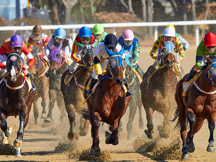 Horse Video Thumbnail