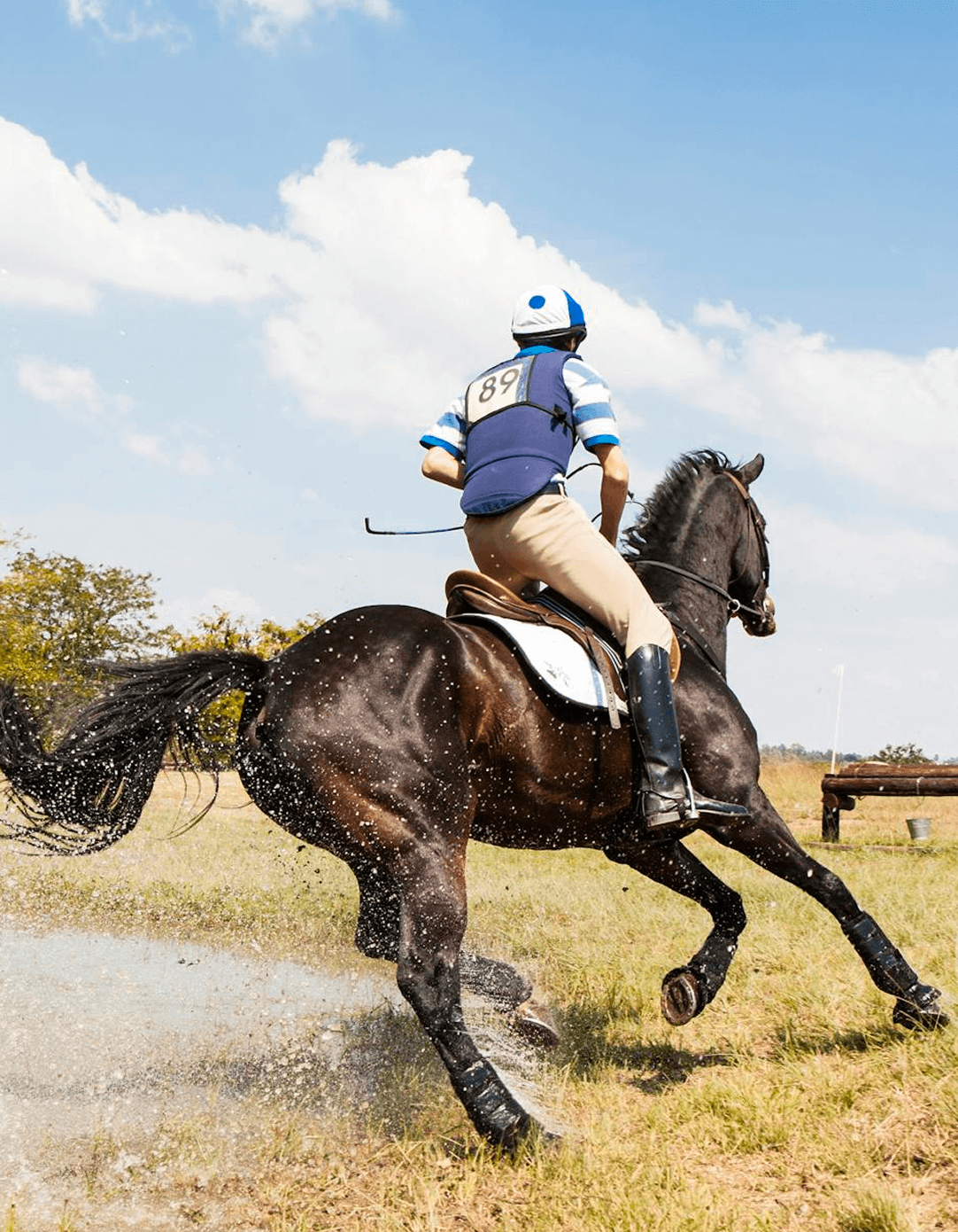 Horse Video Thumbnail